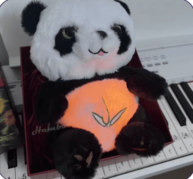 PANDITA RESPIRADOR